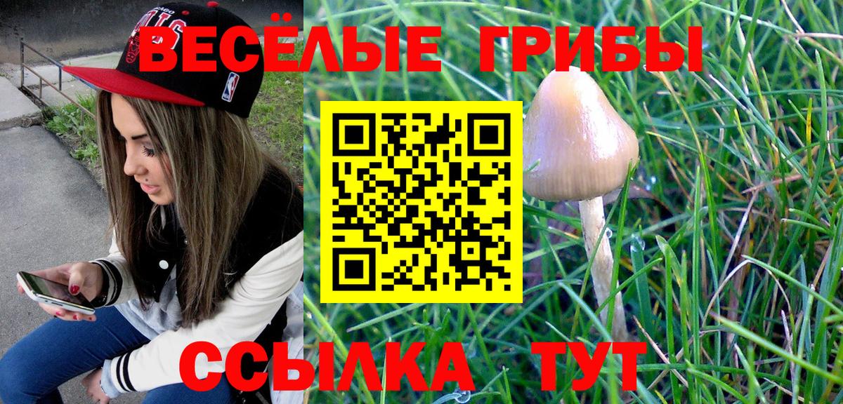 Галлюциногенные грибы Psilocybine cubensis  Вход с VPN  Элиста 